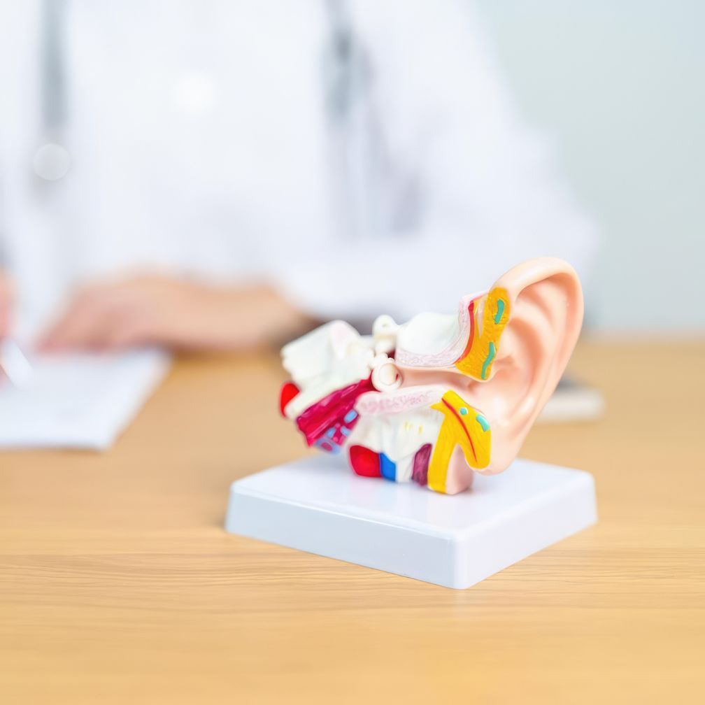 Ear_architect